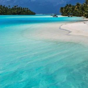 Meet your Posher, Pat